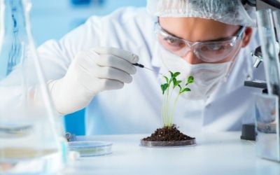 Biotechnology High Pressure Homogenizer