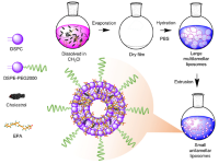 Liposomal Formulations