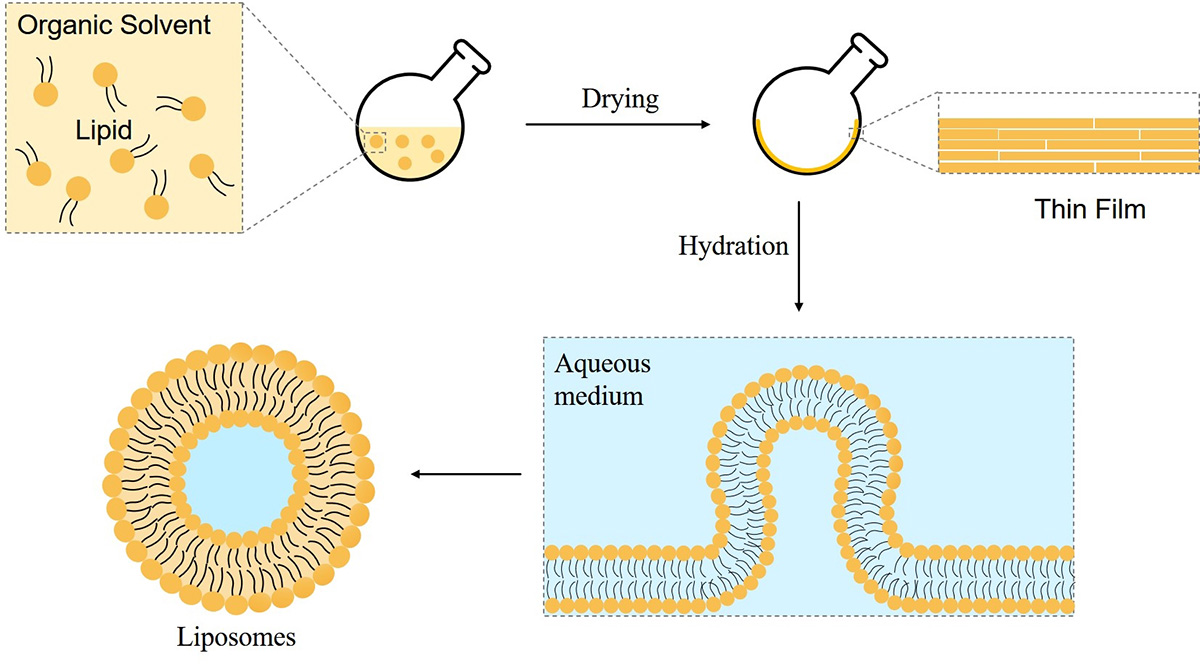 High Pressure Homogenizer Equipment